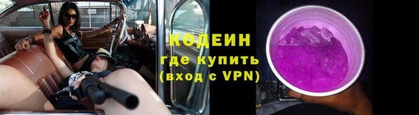 a pvp Абаза