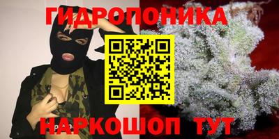 ПСИЛОЦИБИНОВЫЕ ГРИБЫ Чебоксары