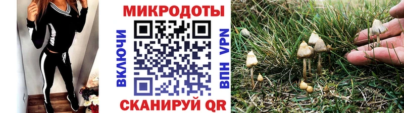 Псилоцибиновые грибы мухоморы  Алейск 