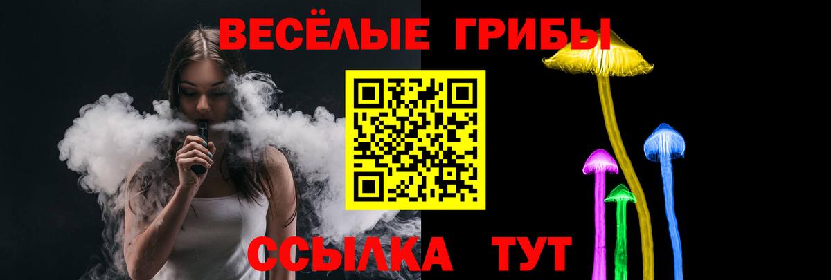 Галлюциногенные грибы Psilocybe  как найти закладки  Алейск  Псилоцибиновые грибы Magic Shrooms  Вход с VPN 