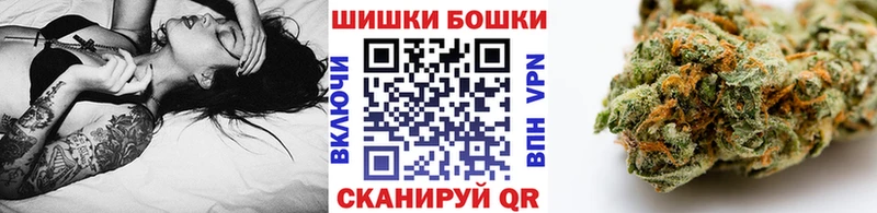Бошки марихуана план  дарнет шоп  Алейск 
